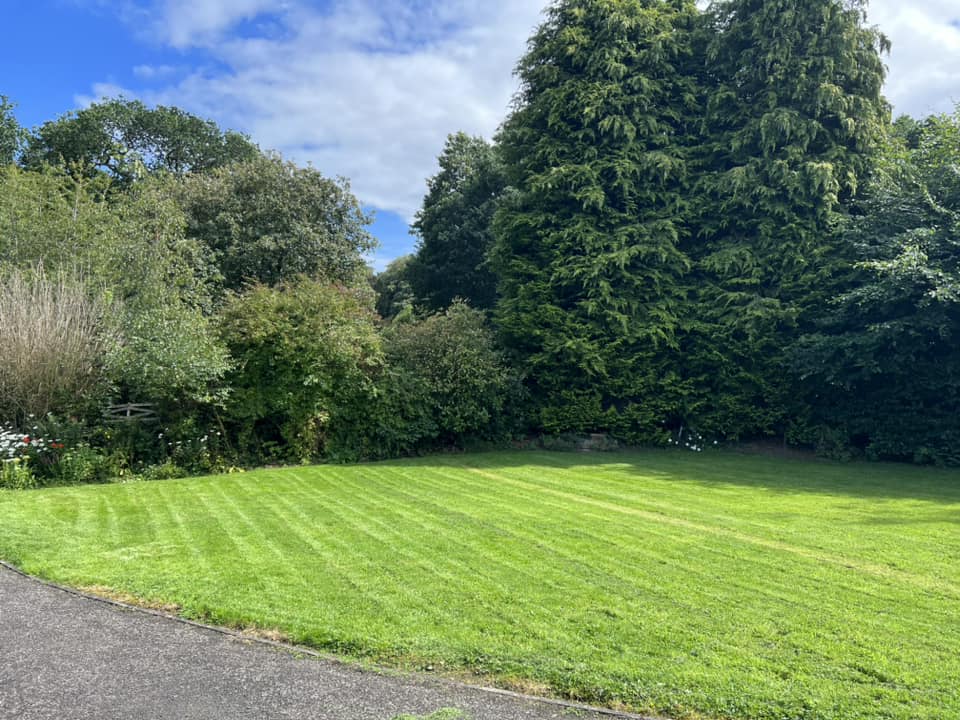 Garden Consultation