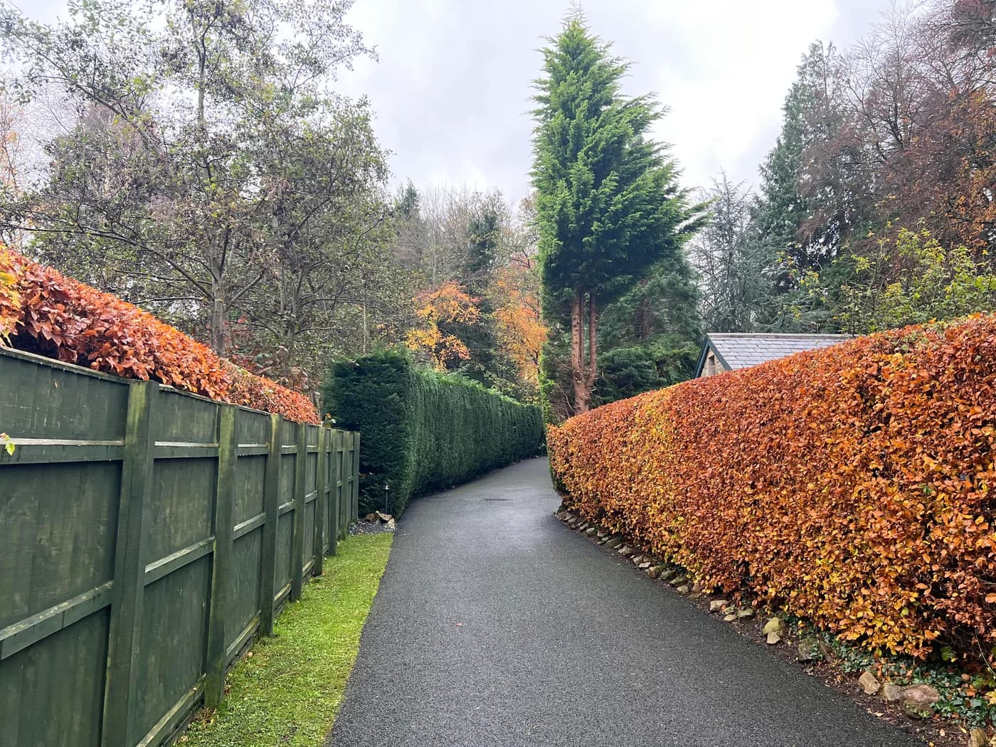 Seasonal Maintenance