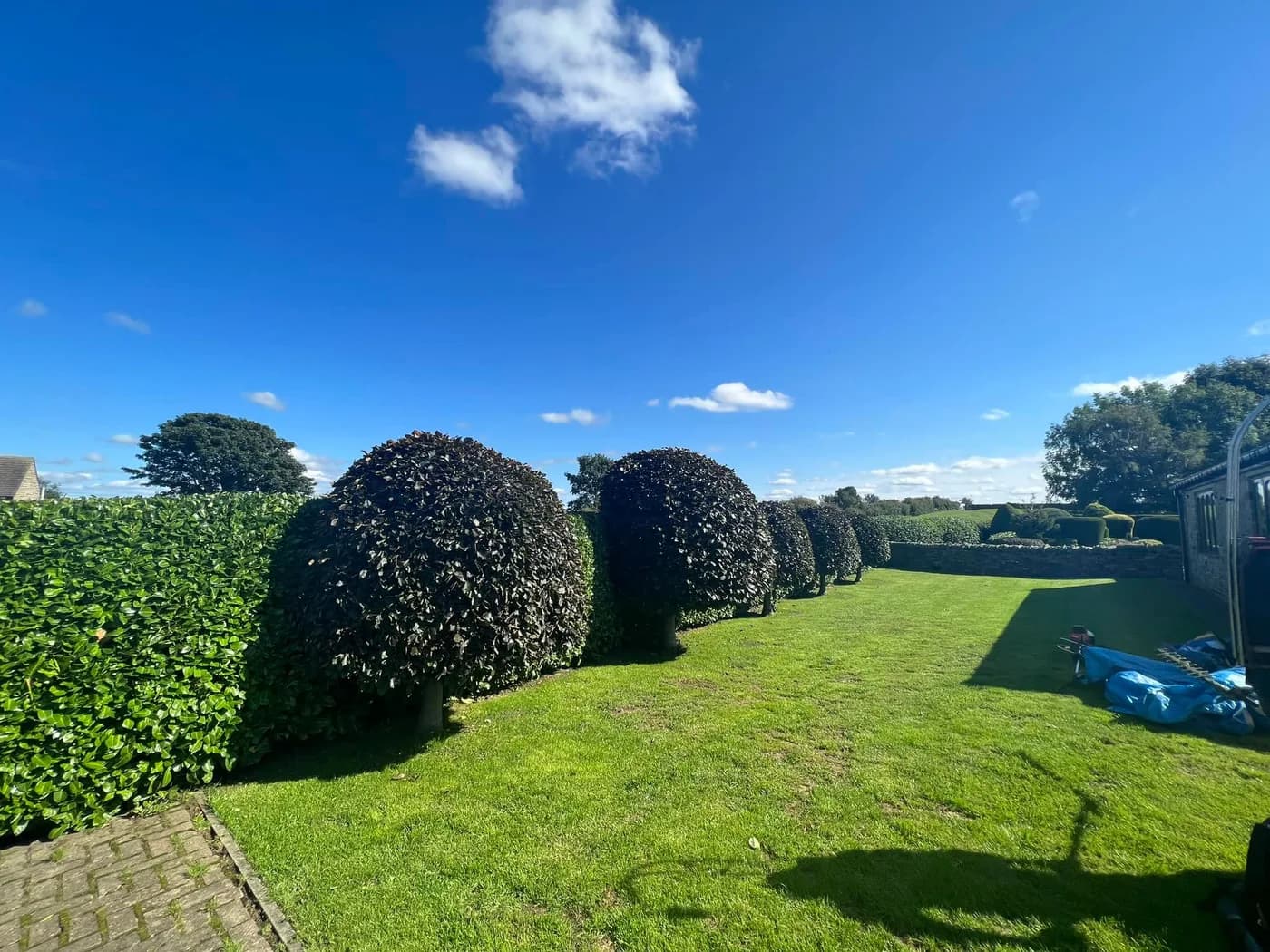 Hedge Trimming & Shaping in Hedley on the Hill, photo 8 of 9