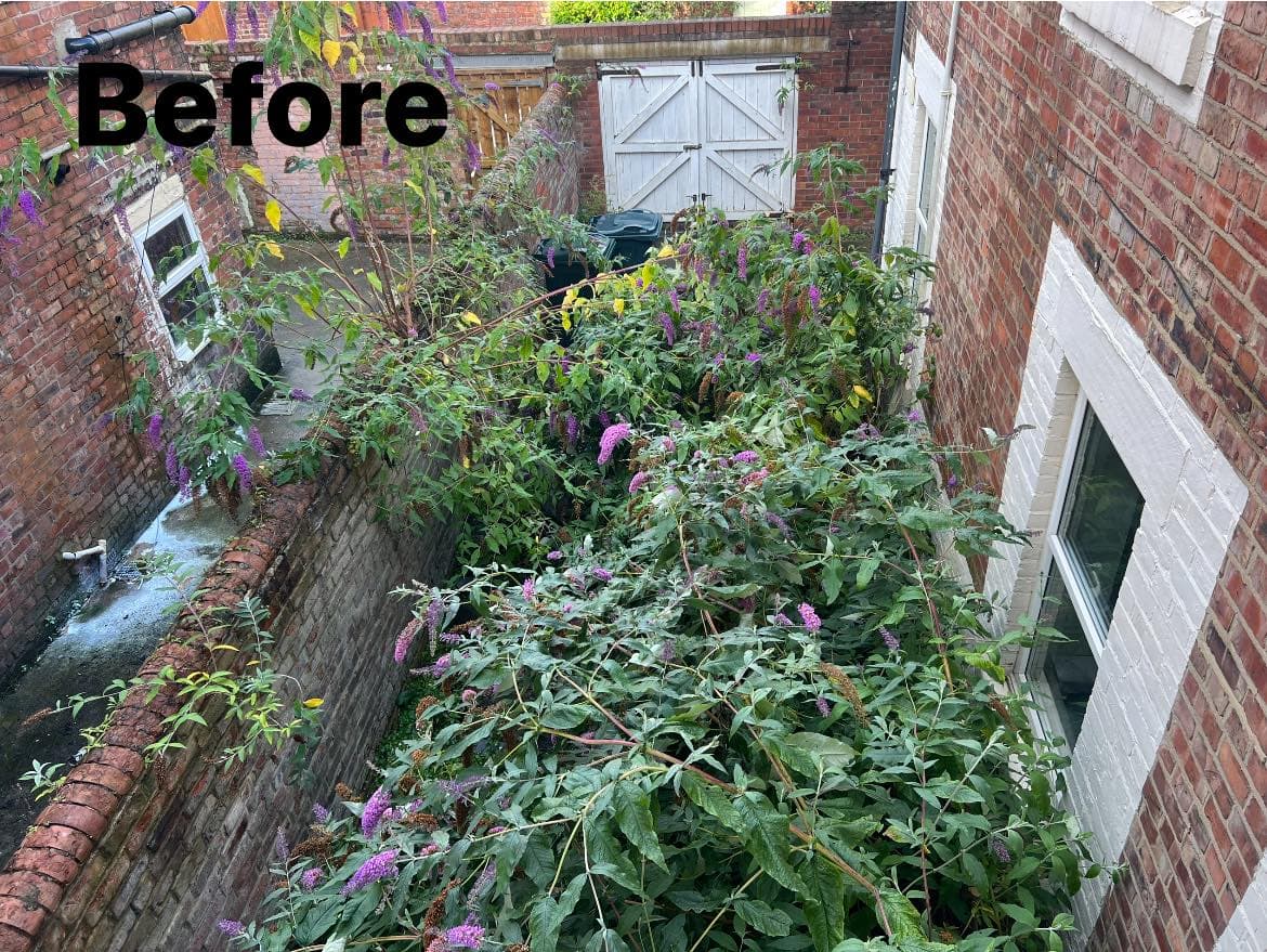 Property Clearance in Jesmond, photo 2 of 8