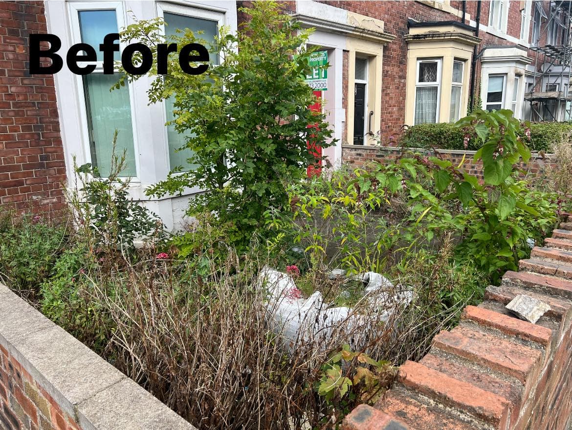 Property Clearance in Jesmond, photo 5 of 8