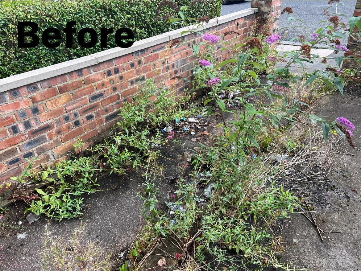Property Clearance in Jesmond, photo 6 of 8