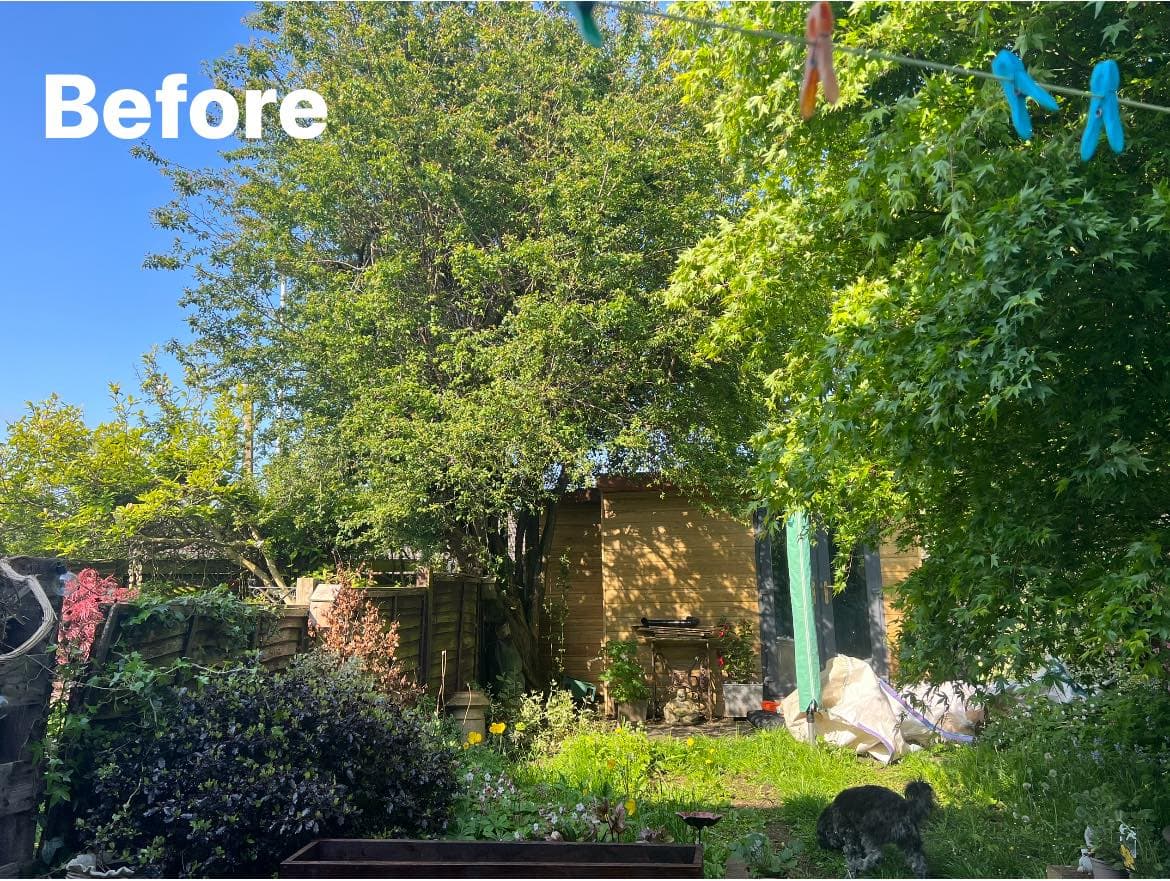 Garden Transformation in Ovingham, photo 2 of 8