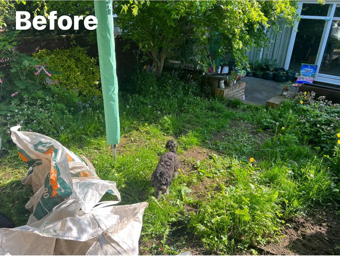 Garden Transformation in Ovingham, photo 4 of 8
