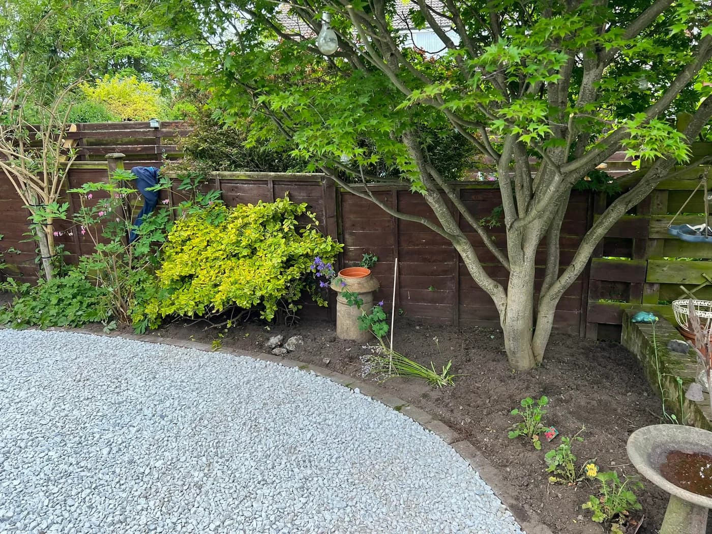 Garden Transformation in Ovingham, photo 8 of 8
