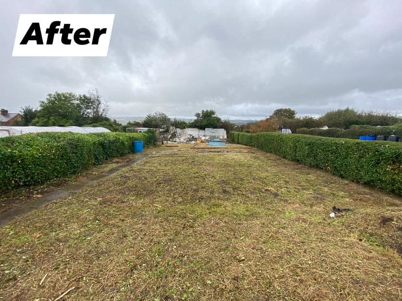 Allotment Clearance & Ground Preparation in Prudhoe, photo 7 of 8