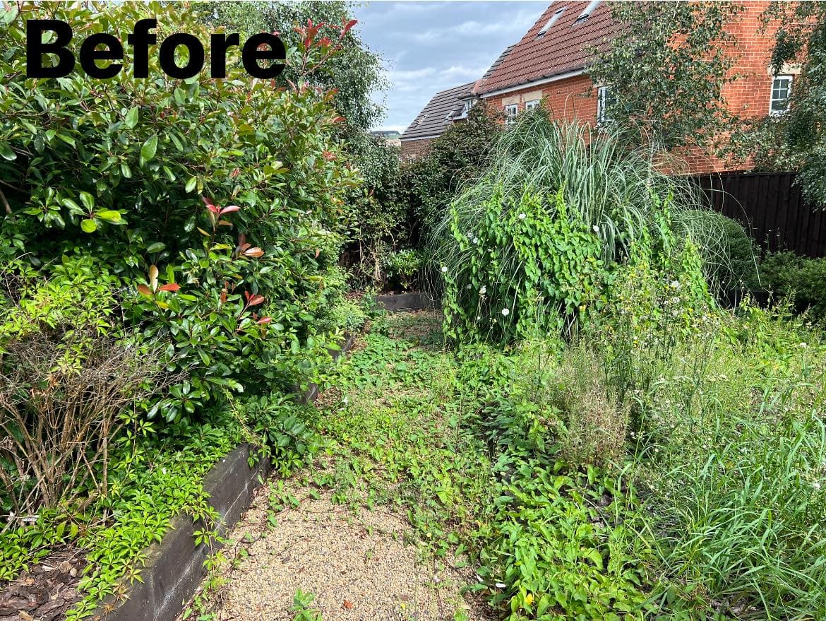 Garden Weeding & Clearance