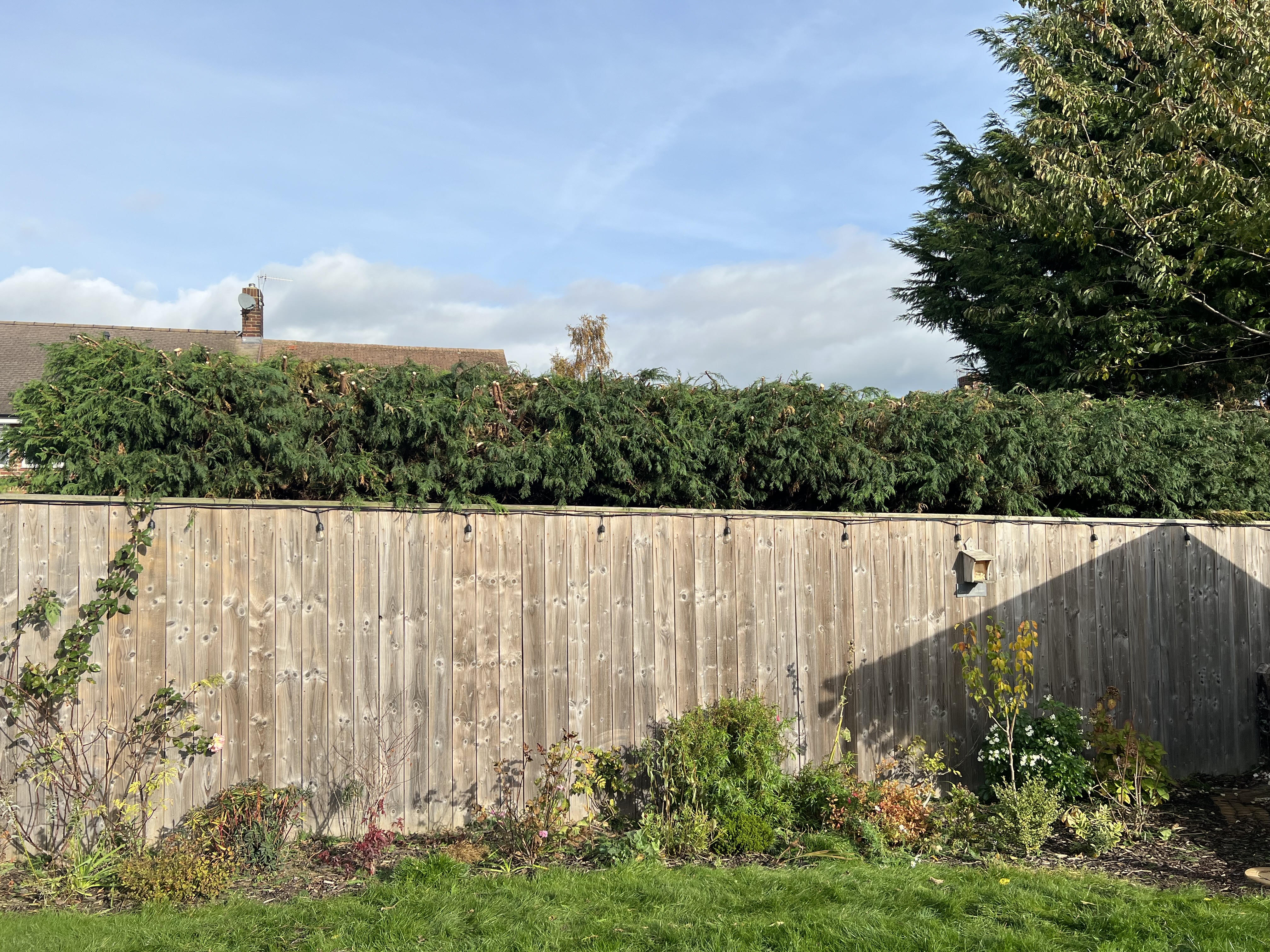 Hedge & Tree Reduction/Removal