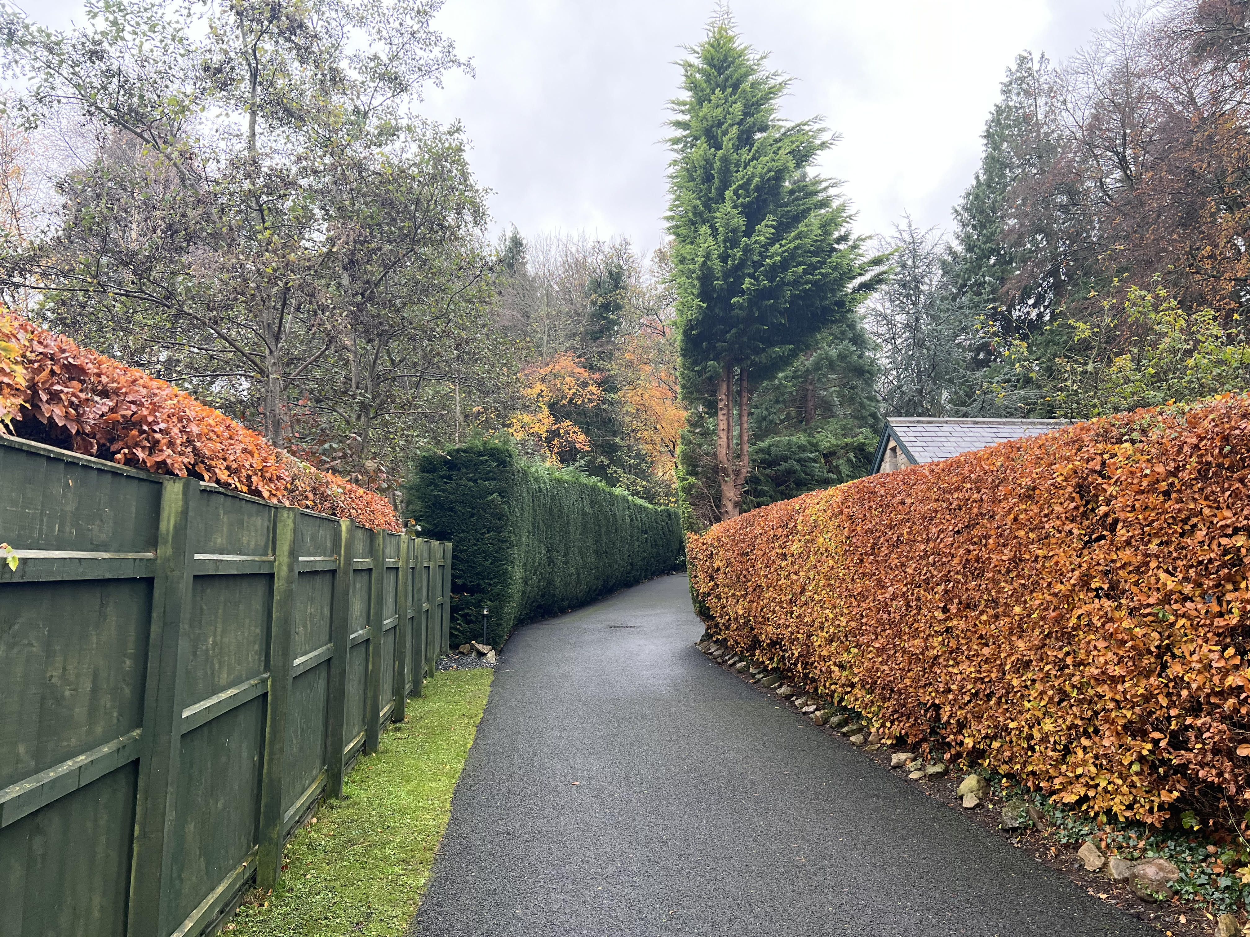 Seasonal Maintenance