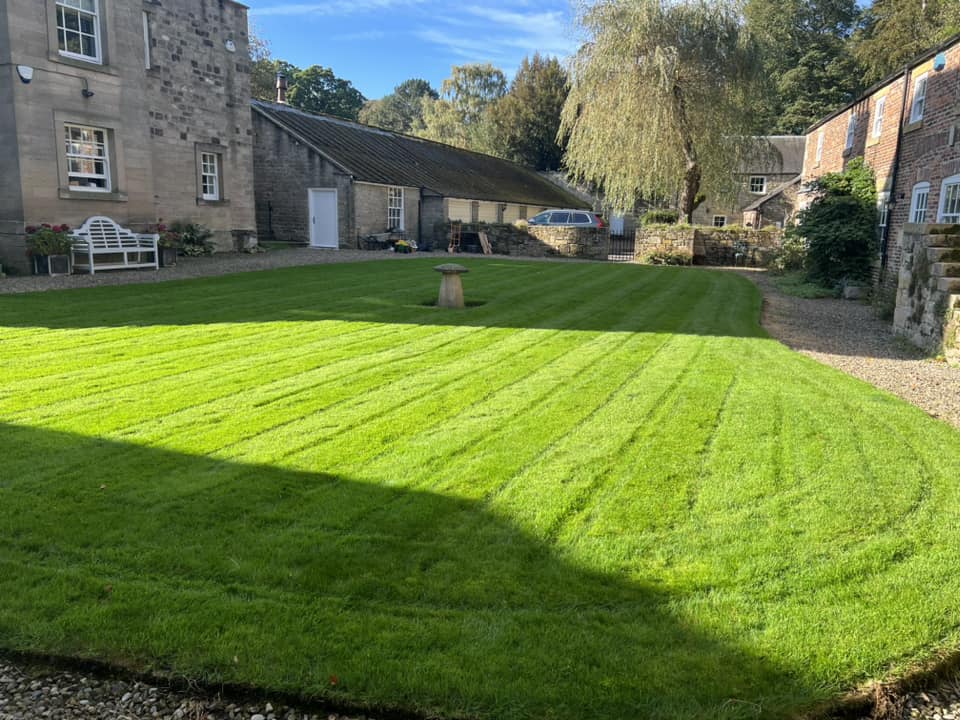 Lawn Care & Maintenance