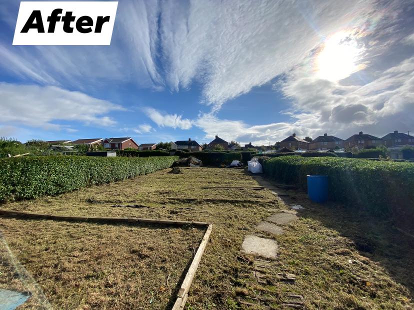 Allotment Clearance & Ground Preparation